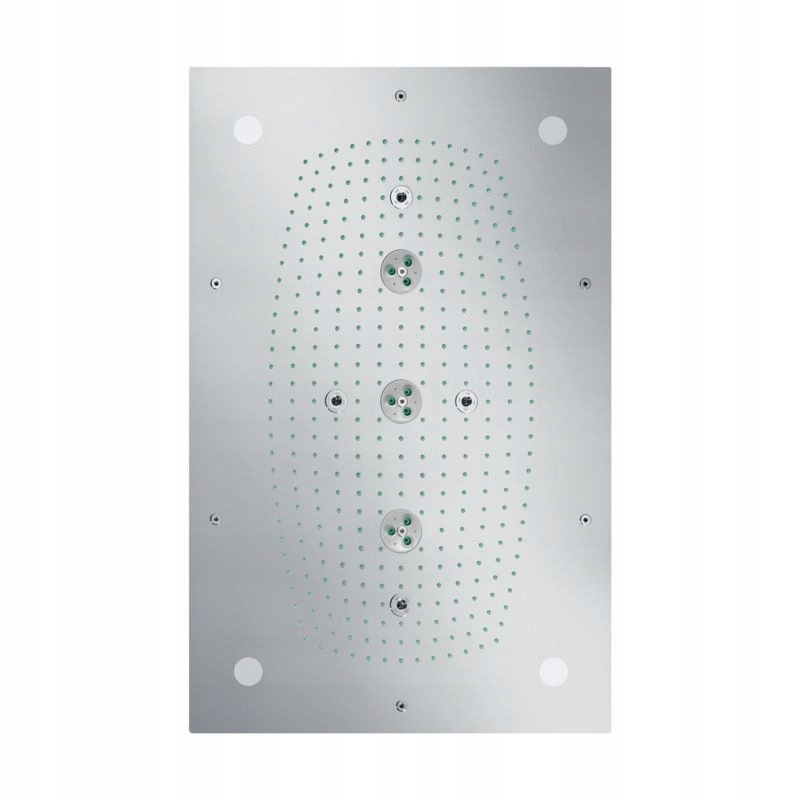 Sprchový panel - Sprchová hlavica Hansgrohe Raindance 28418000