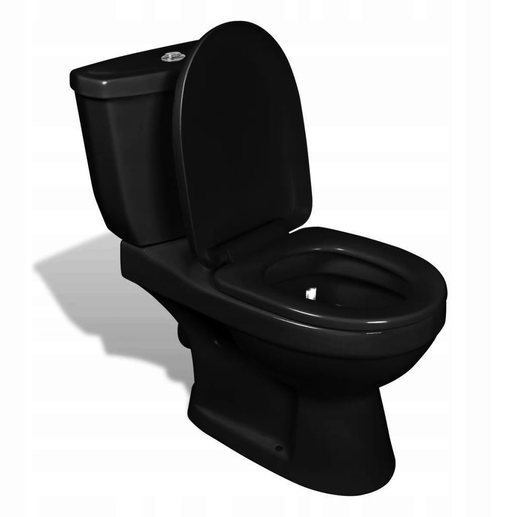 WC MISA - TOALETNÉ CLOSETOVÉ MÚSLO S ČIERNYM NÁDOBÍM