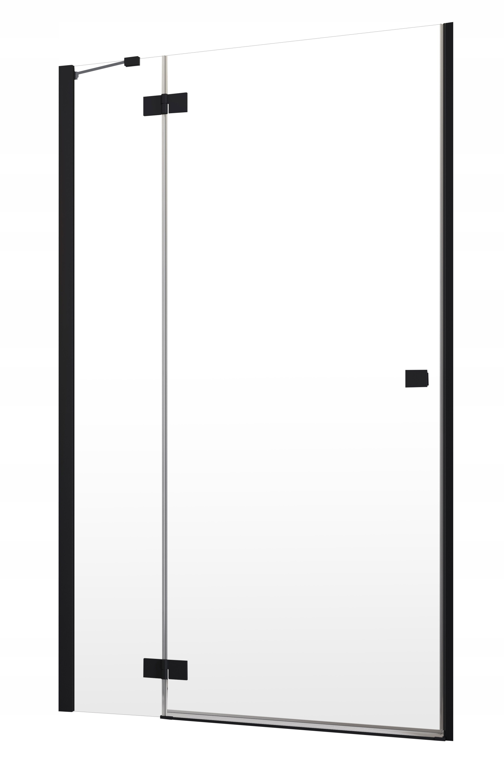 Sprchové dvere - Dvere Essenza New Black DWJ 100x200 RADAWAY